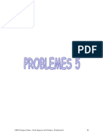 5P Problemes