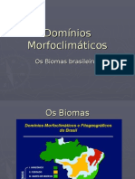 Dominios - Morfoclimaticos (1) .Pps
