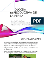 Fisiologia Reproductiva de La Perra PDF