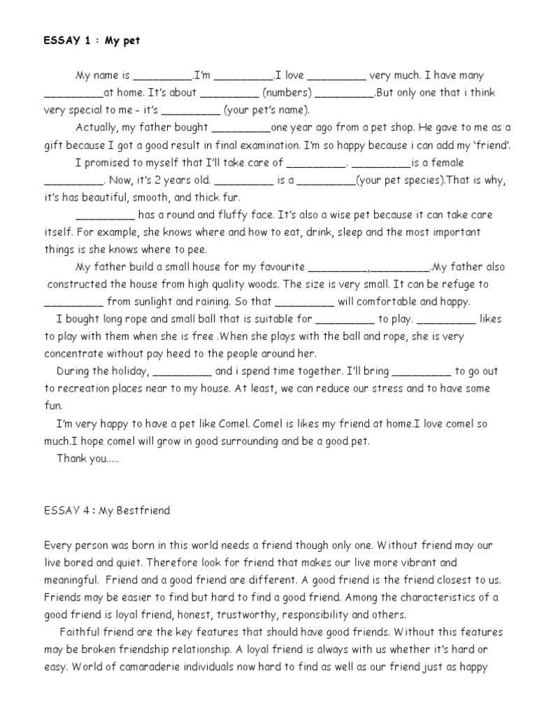 English essays examples upsr 07 image