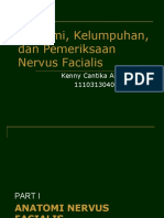 Anatomi, Kelumpuhan, Pemeriksaan Nervus Facialis