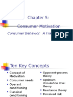 5) Consumer Motivation