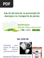 uso_do_sal_doencas_transporte_peixes_daniel_montagner.pdf