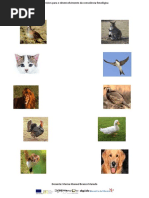 Exercicios de Consciencia Fonologica