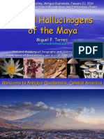 Ritual Hallucinogens of The Maya