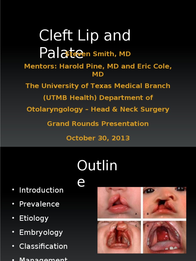 Cleft Lip Palate | PDF | Wellness | Science & Mathematics