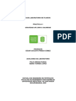 1._GRAVEDAD_API__BSW___SALINIDAD.pdf