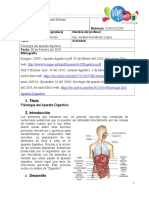 Aparato Digestivo