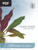 Aquarium Plants Catalogue | PDF | Plants | Horticulture And Gardening
