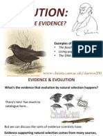 Evolution:: Where'S The Evidence?