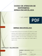 Proceso de Atencion de Enfermeria