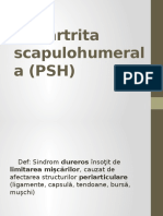 Periartrita Scapulohumerala (PSH)