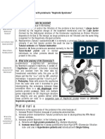 Approach: A. How The Kidney Handle The Proteins?