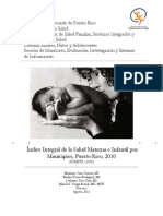 Indice Integral de La Salud Materna e Infantil Por Municipios PR 2010