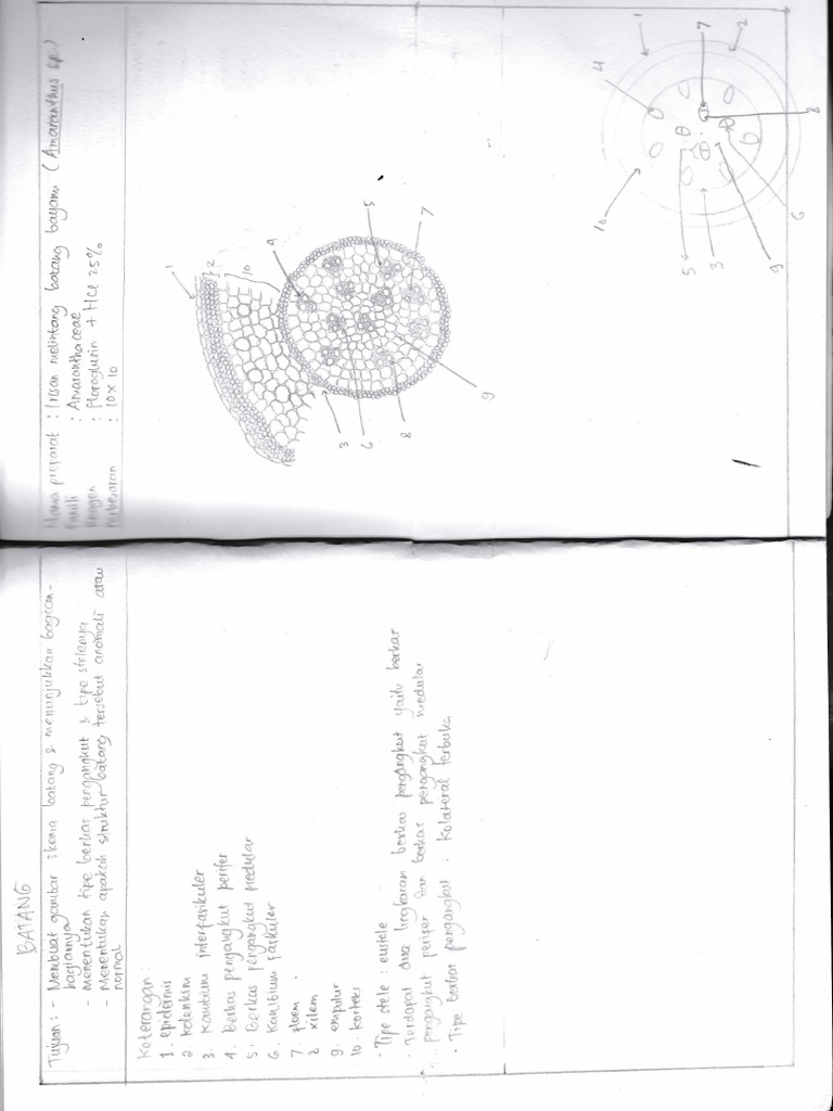 Unraveling Complex Data Patterns | PDF