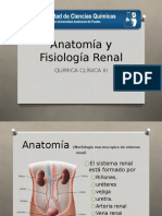 Anatomía y Fisiología Renal