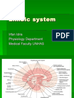 Limbic System