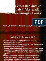 INFEKSI KULIT