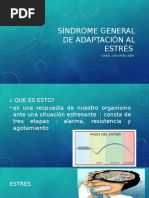 Síndrome General de Adaptación Al Estrés