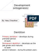 Tooth Development (Odontogenesis) : By: Hasu - Chaudhari
