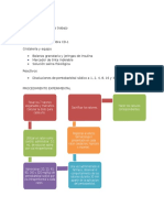 METODOLOGIA Pentobarbital Sodico