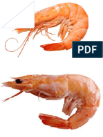 The Two Shrimps