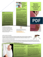 Preguntas Respuestas Infeccion Zika Embarazo