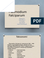 Plasmodium Falciparum