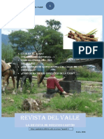 Revista del Valle