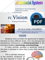 Cap IV - Curs 9 - 10 - Vision - 2014 - 2015 - PDF