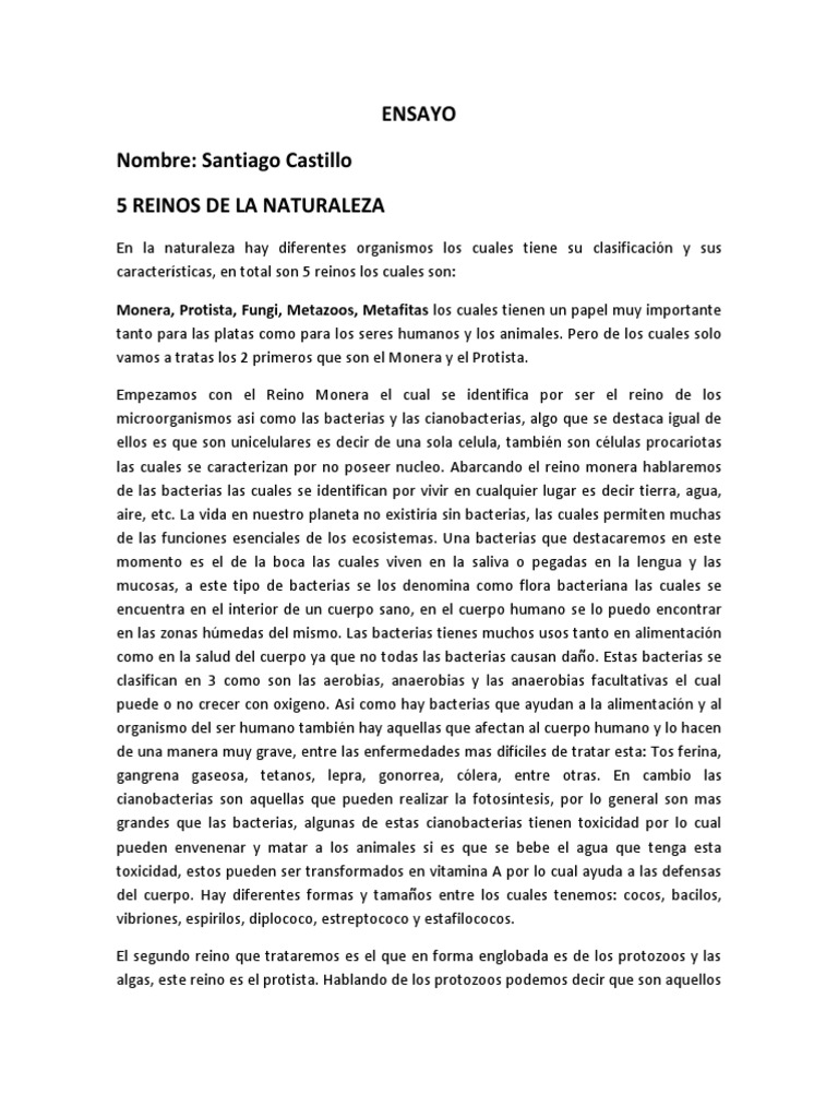 Ensayo de Los 5 Reinos de La Naturaleza (Reino Monera y Protista) | PDF |  Las bacterias | Protozoos