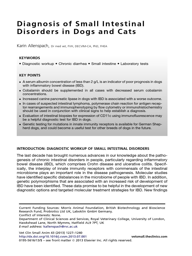 Diagnosis of Small Intestinal Disorders in Dogs and Cats Inflammatory