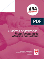 Profesionales de La Atención Domiciliaria