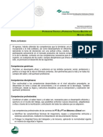 PE2013Mortoresadiesel.pdf