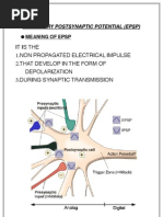 Download EPSP AND IPSP by abinthevarmadom SN29862002 doc pdf