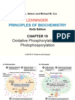 Lehninger LCA Ch19