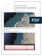 Proyecto Gaseoducto Marino