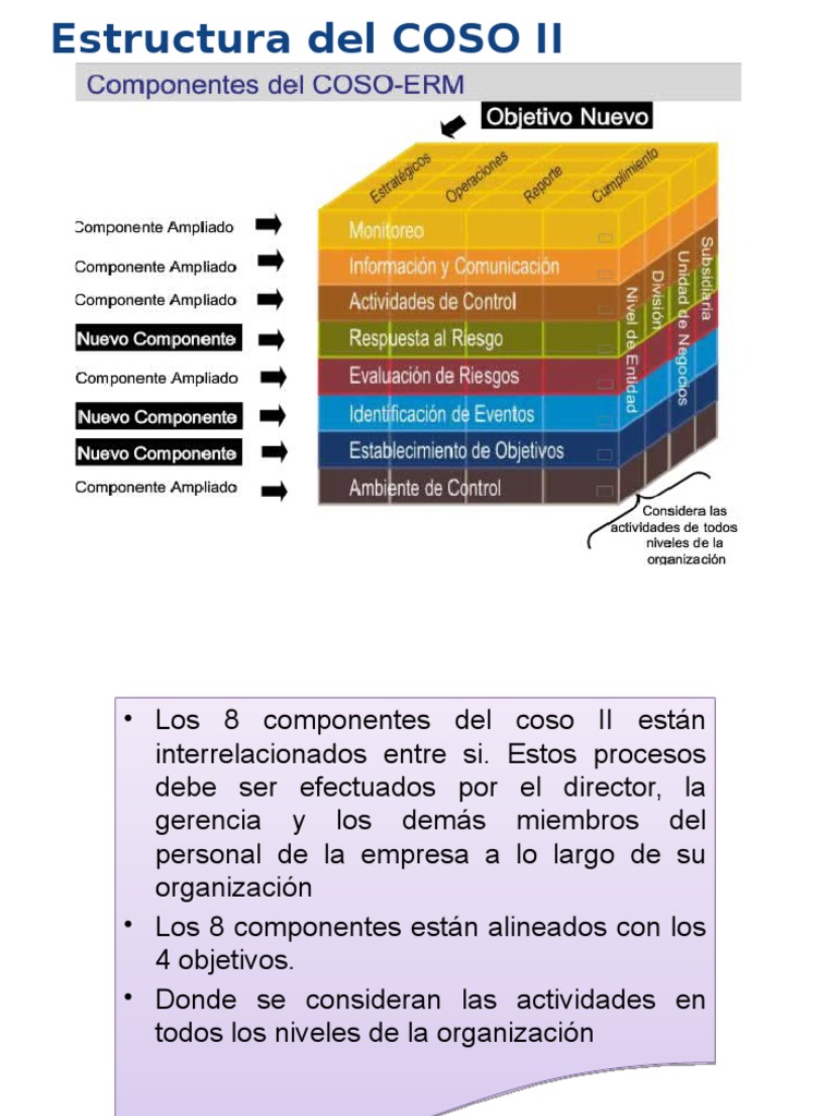 Componentes del COSO II y ERM | PDF | Administración Pública | Probabilidad