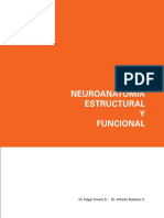 Guia de Neuroanatomía