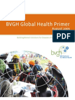 BVGH Global Health Primer 2009