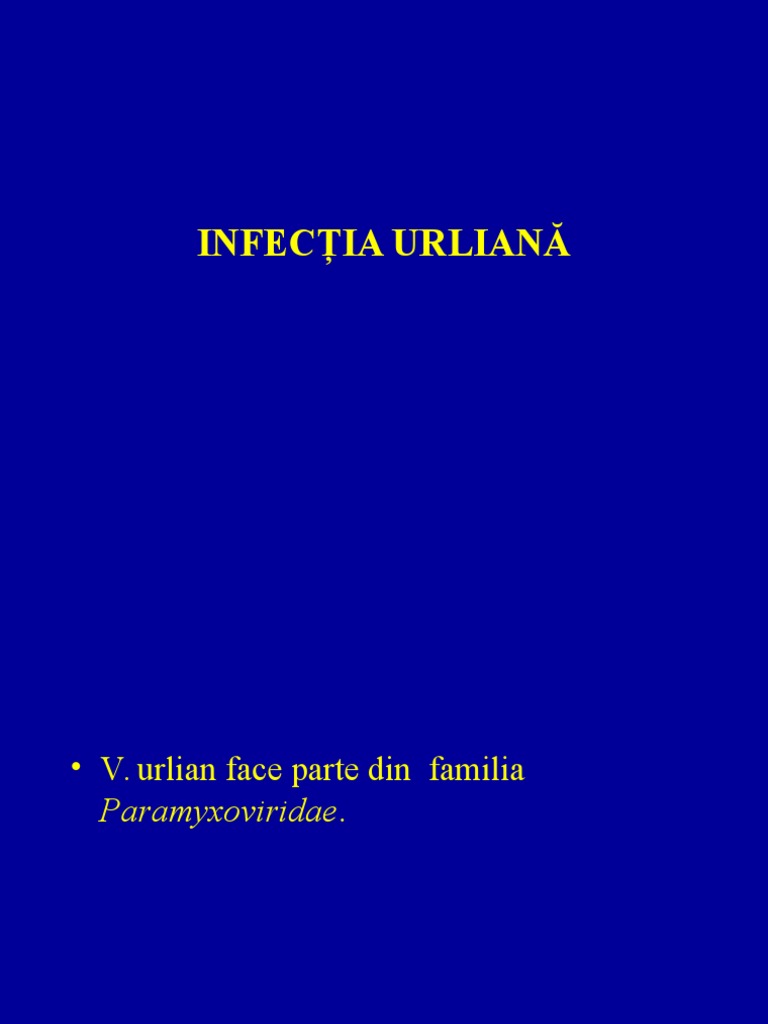 Oreion Si TC | PDF