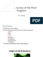 SBT101BacteriaPlusAlgae PDF