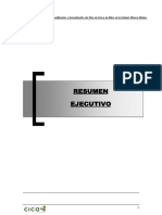 RESUMEN EJECUTIVO PCM Machay