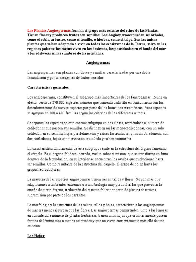Características de las Angiospermas | PDF | Flores | Hoja