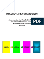 MS 06 Implementarea Strategiilor