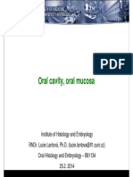 Histology of The Oral Cavity 1
