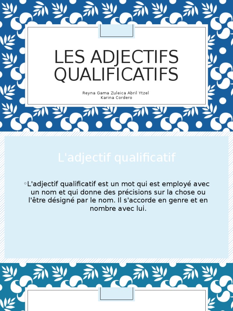 Guide des adjectifs qualificatifs en français | PDF | Genre grammatical ...