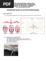 Eletrocardiograma cães e gatos  - I