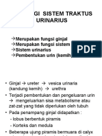 Fisio Urin
