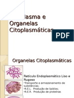 Citoplasma e Organelas Citoplasmaticas